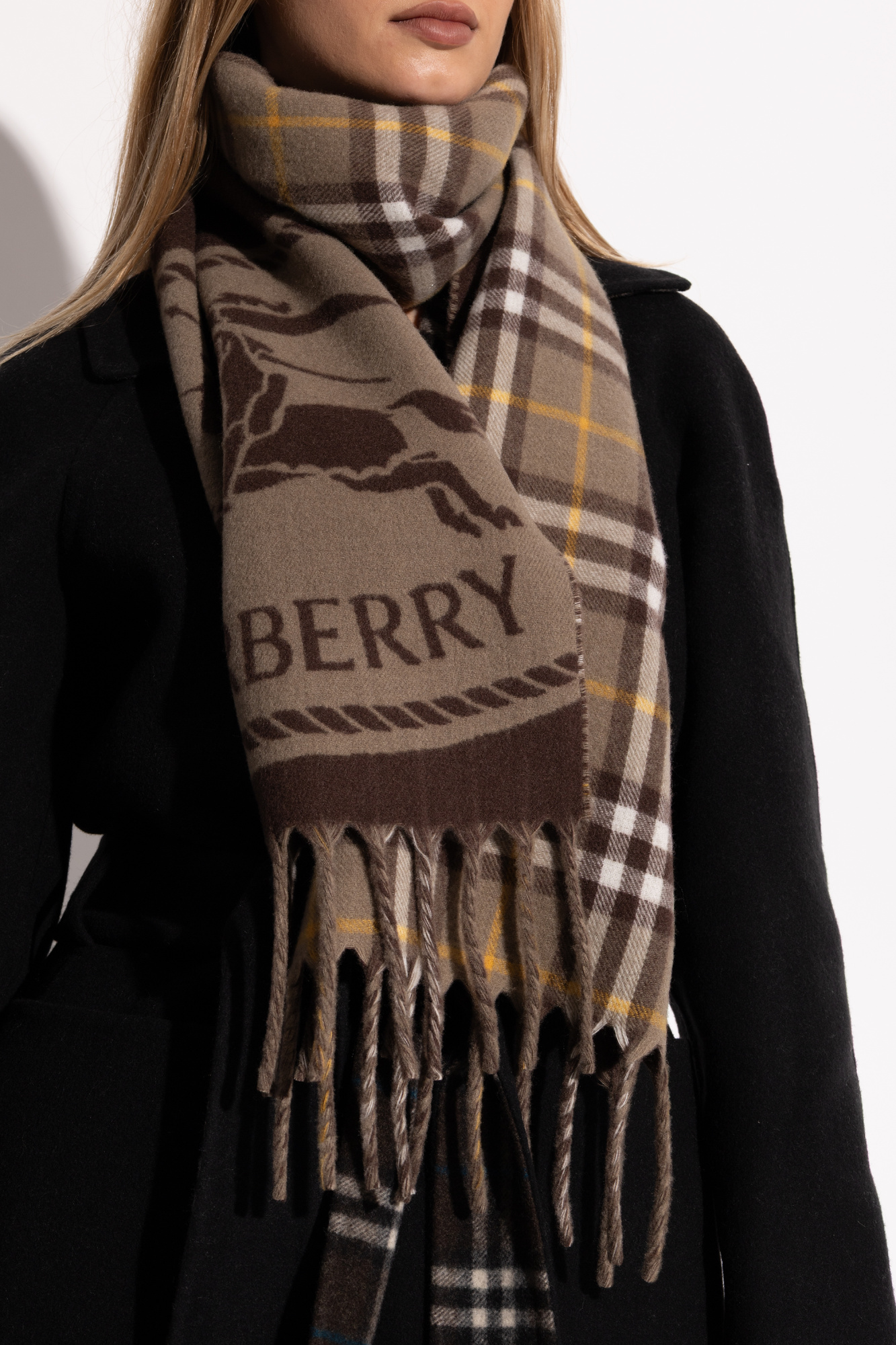 マフラー・ストール Burberry FW25 Embroidered cashmere scarf (8045329 A7026) Burberry Cashmere Scarf | italist